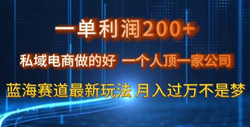 一单利润200私域电商做的好，一个人顶一家公司蓝海赛道最新玩法【揭秘】-千优网创