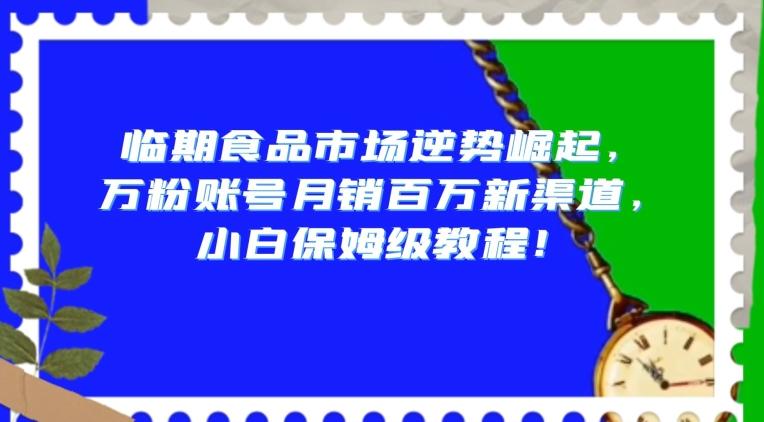 临期食品市场逆势崛起，万粉账号月销百万新渠道，小白保姆级教程【揭秘】-千优网创