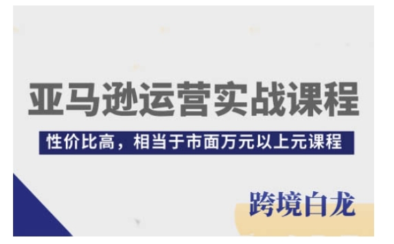 亚马逊运营实战课程,亚马逊从入门到精通,性价比高,相当于市面万元以上元课程-千优网创