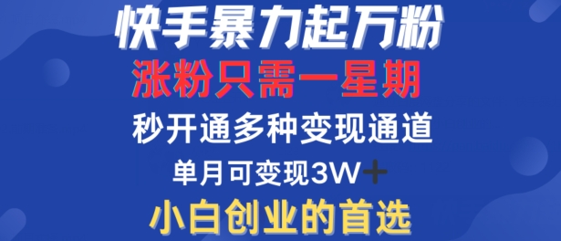 快手暴力起万粉,涨粉只需一星期,多种变现模式,直接秒开万合,单月变现过W【揭秘】-千优网创