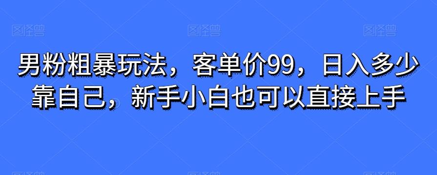 男粉粗暴玩法,客单价99,日入多少靠自己,新手小白也可以直接上手-千优网创