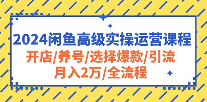 2024闲鱼高级实操运营课程：开店/养号/选择爆款/引流/月入2万/全流程-千优网创
