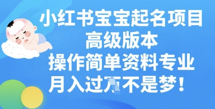 小红书宝宝起名项目高级版本，操作简单，资料专业，月入过W-千优网创