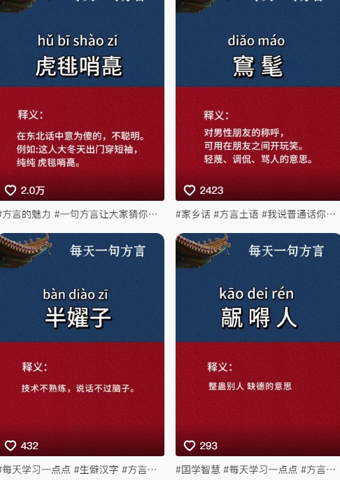 抖音最新涨粉玩法，图文方言暴力涨粉实操，126作品涨粉11W-千优网创