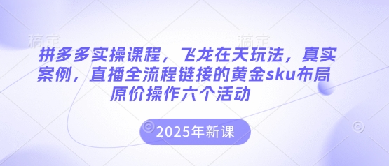 拼多多实操课程,飞龙在天玩法,真实案例,直播全流程链接的黄金sku布局原价操作六个活动-千优网创