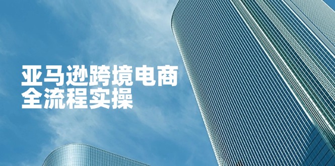 （14252期）亚马逊跨境电商全流程实操，教你从零开始，掌握店铺运营与广告技巧-千优网创