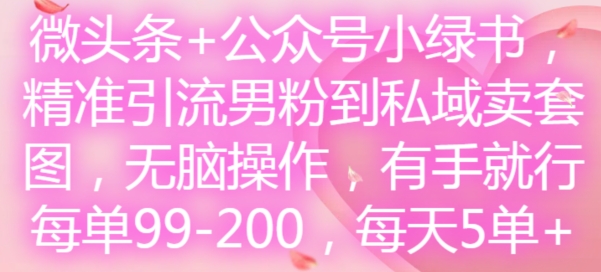 微头条+公众号小绿书,精准引流男粉到私域卖套图,无脑操作,有手就行,每单99-200,每天5单-千优网创