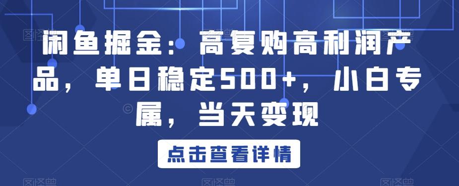 闲鱼掘金:高复购高利润产品,单日稳定500+,小白专属,当天变现-千优网创