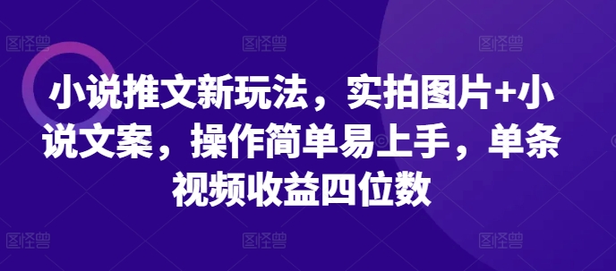 小说推文新玩法，实拍图片+小说文案，操作简单易上手，单条视频收益四位数-千优网创