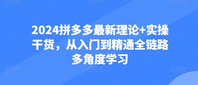 2024拼多多最新理论+实操干货,从入门到精通全链路多角度学习-千优网创