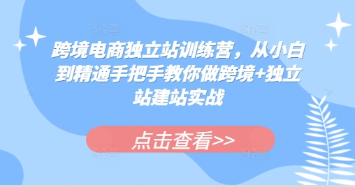 跨境电商独立站训练营,从小白到精通手把手教你做跨境+独立站建站实战-千优网创