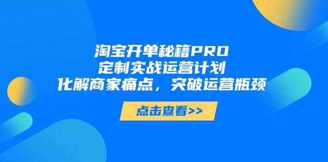 淘宝开单秘籍PRO，定制实战运营计划，化解商家痛点，突破运营瓶颈-千优网创