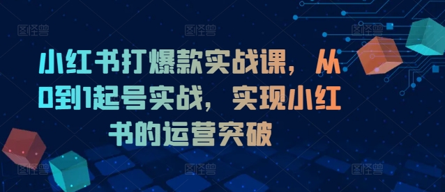 小红书打爆款实战课，从0到1起号实战，实现小红书的运营突破-千优网创