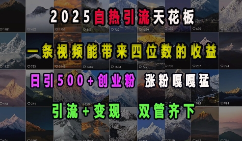 2025自热引流天花板,一条视频能带来四位数的收益,引流+变现双管齐下,日引500+创业粉,涨粉嘎嘎猛-千优网创