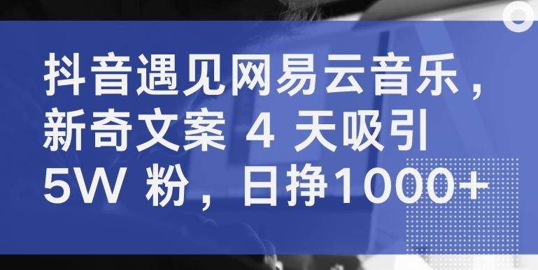 抖音遇见网易云音乐，新奇文案 4 天吸引 5W 粉，日挣1000+【揭秘】-千优网创