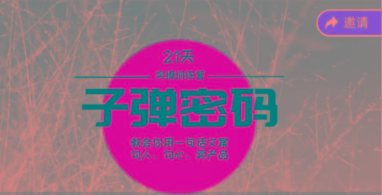《子弹密码训练营》-用一句话文案勾人勾心卖产品，21天学到顶尖文案大师策略和技巧-千优网创