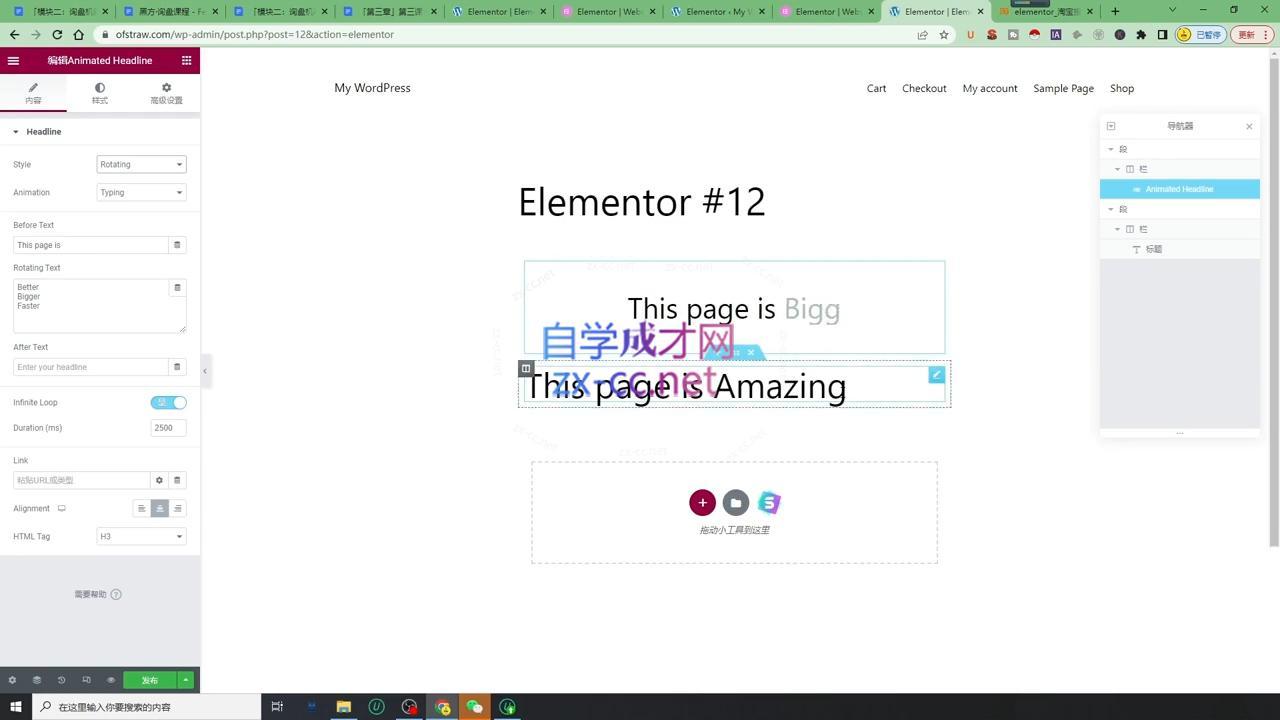黑方老师·谷歌B端独立站建站推广-千优网创