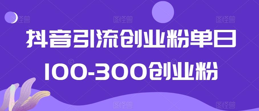 抖音引流创业粉单日100-300创业粉【揭秘】-千优网创
