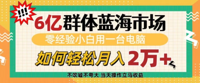6亿群体蓝海市场,零经验小白用一台电脑,如何轻松月入过w【揭秘】-千优网创