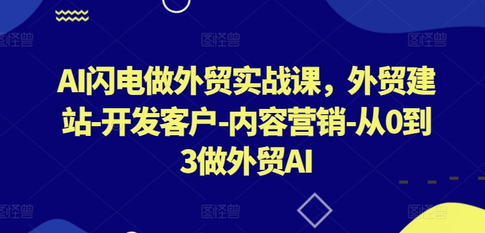 AI闪电做外贸实战课,外贸建站-开发客户-内容营销-从0到3做外贸AI(更新)-千优网创