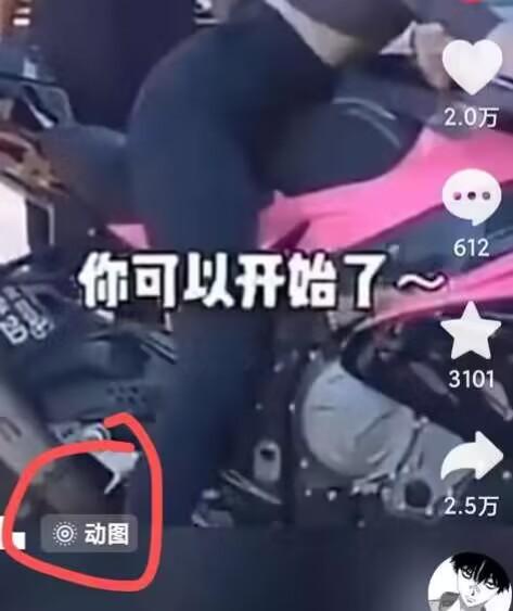 2024年7月苹果手机动图搬运技术-千优网创