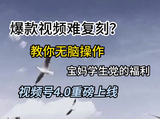 视频号4.0重磅上线,爆款视频难复刻?教你无脑操作宝妈学生党的福利【揭秘】-千优网创