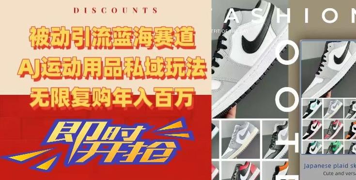 被动引流蓝海赛道，AJ运动用品私域玩法，无限复购年入百万【揭秘】-千优网创