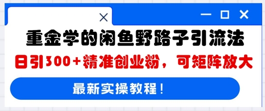 重金学的闲鱼野路子引流法，日引300+精准创业粉，可矩阵放大-千优网创