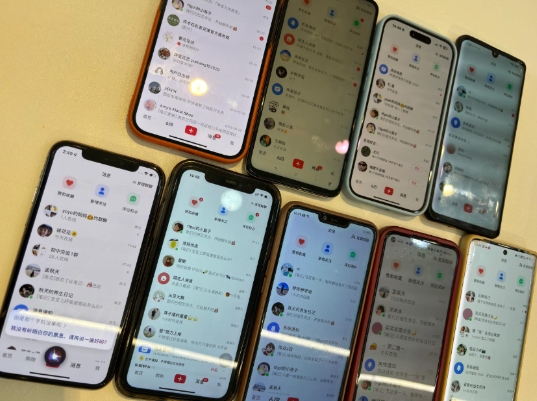 首发揭秘小红书私域日引500+创业粉四大模板,月入过W+全程干货!没有废话!保姆教程!-千优网创