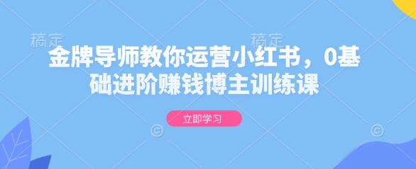 金牌导师教你运营小红书，0基础进阶赚钱博主训练课-千优网创