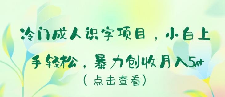 冷门成人识字项目，小白上手轻松，暴力创收月入5w+【揭秘】-千优网创