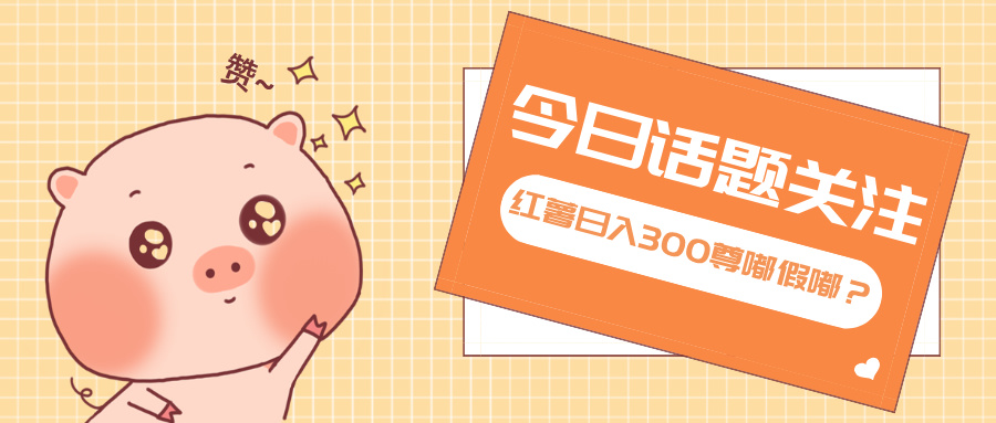 全新红薯浏览,打破常规 双端操作,每天运行6小时,让你获得工作以外的...-千优网创