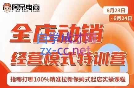 阿呆电商·全店动销经营模式特训营(线下录音+思维导图)-千优网创