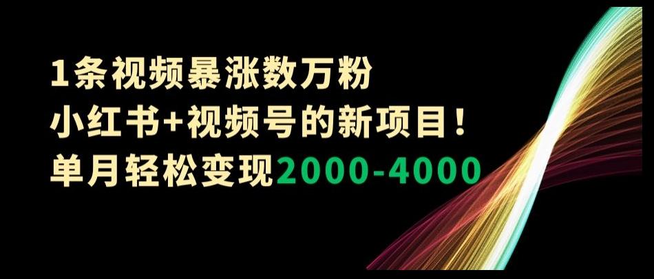 1条视频暴涨数万粉--小红书+视频号的新项目！单月轻松变现2000-4000【揭秘】-千优网创
