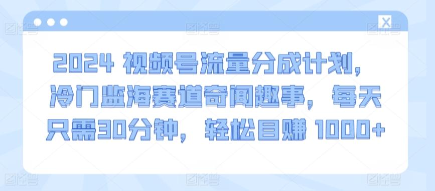 2024视频号流量分成计划，冷门监海赛道奇闻趣事，每天只需30分钟，轻松目赚 1000+【揭秘】-千优网创
