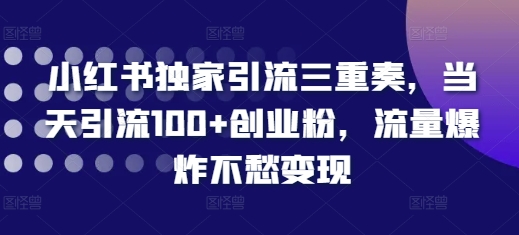 小红书独家引流三重奏，当天引流100+创业粉，流量爆炸不愁变现【揭秘】-千优网创