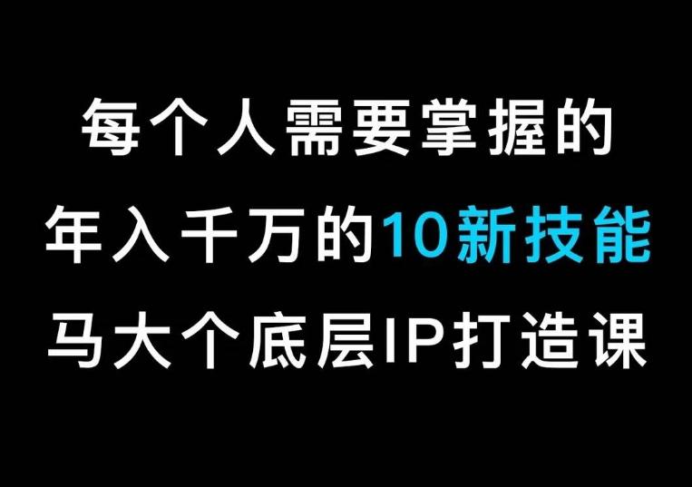 马大个的IP底层逻辑课,每个人需要掌握的年入千万的10新技能,约会底层IP打造方法!-千优网创