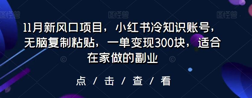 11月新风口项目,小红书冷知识账号,无脑复制粘贴,一单变现300块,适合在家做的副业-千优网创