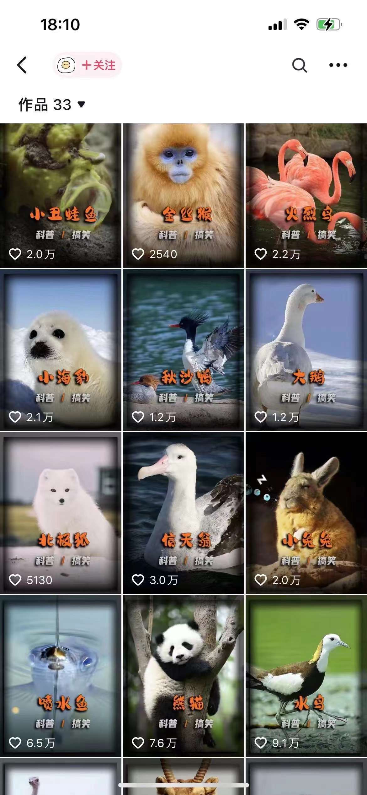 动物科普解说项目,撸创作者伙伴计划收益,保姆级实战教程-千优网创