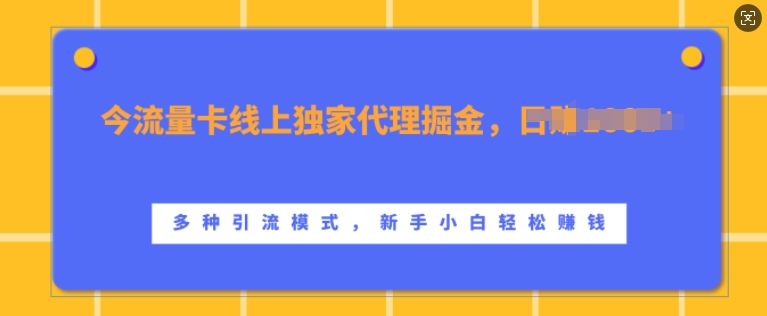 流量卡线上独家代理掘金，日入1k+ ，多种引流模式，新手小白轻松上手【揭秘】-千优网创