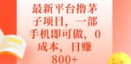 最新平台撸茅子项目,一部手机即可做,0成本,日赚800+-千优网创