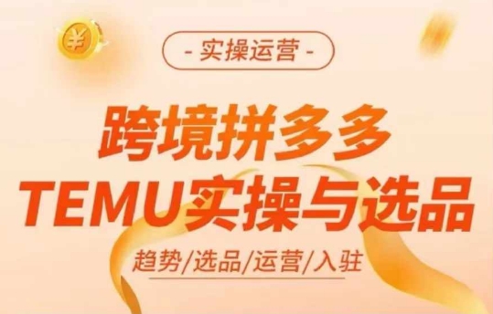 跨境拼多多TEMU实操与选品，多多temu跨境选品运营实操-千优网创