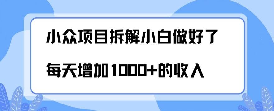 小众项目拆解,小白做好了每天可增加1000多的收入-千优网创