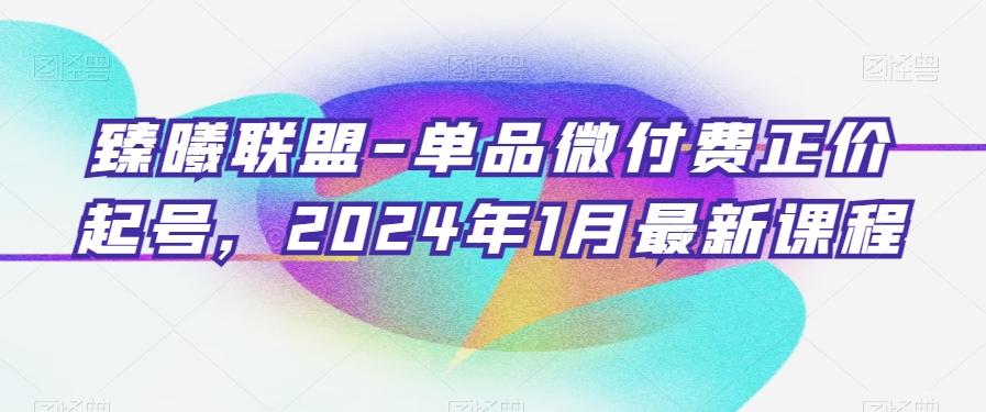 臻曦联盟-单品微付费正价起号,2024年1月最新课程-千优网创