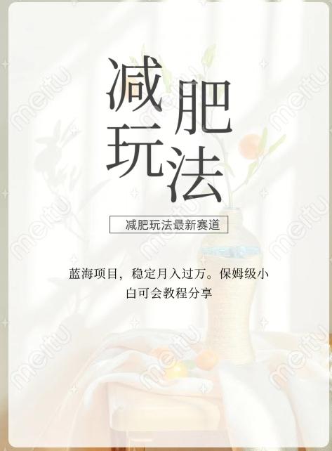 减肥流量主新玩法,轻松月入1W,可矩阵操作收入翻倍-千优网创