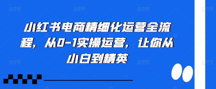 小红书电商精细化运营全流程，从0-1实操运营，让你从小白到精英-千优网创