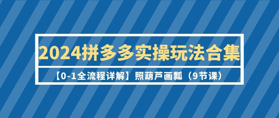 (9559期)2024拼多多实操玩法合集【0-1全流程详解】照葫芦画瓢(9节课)-千优网创