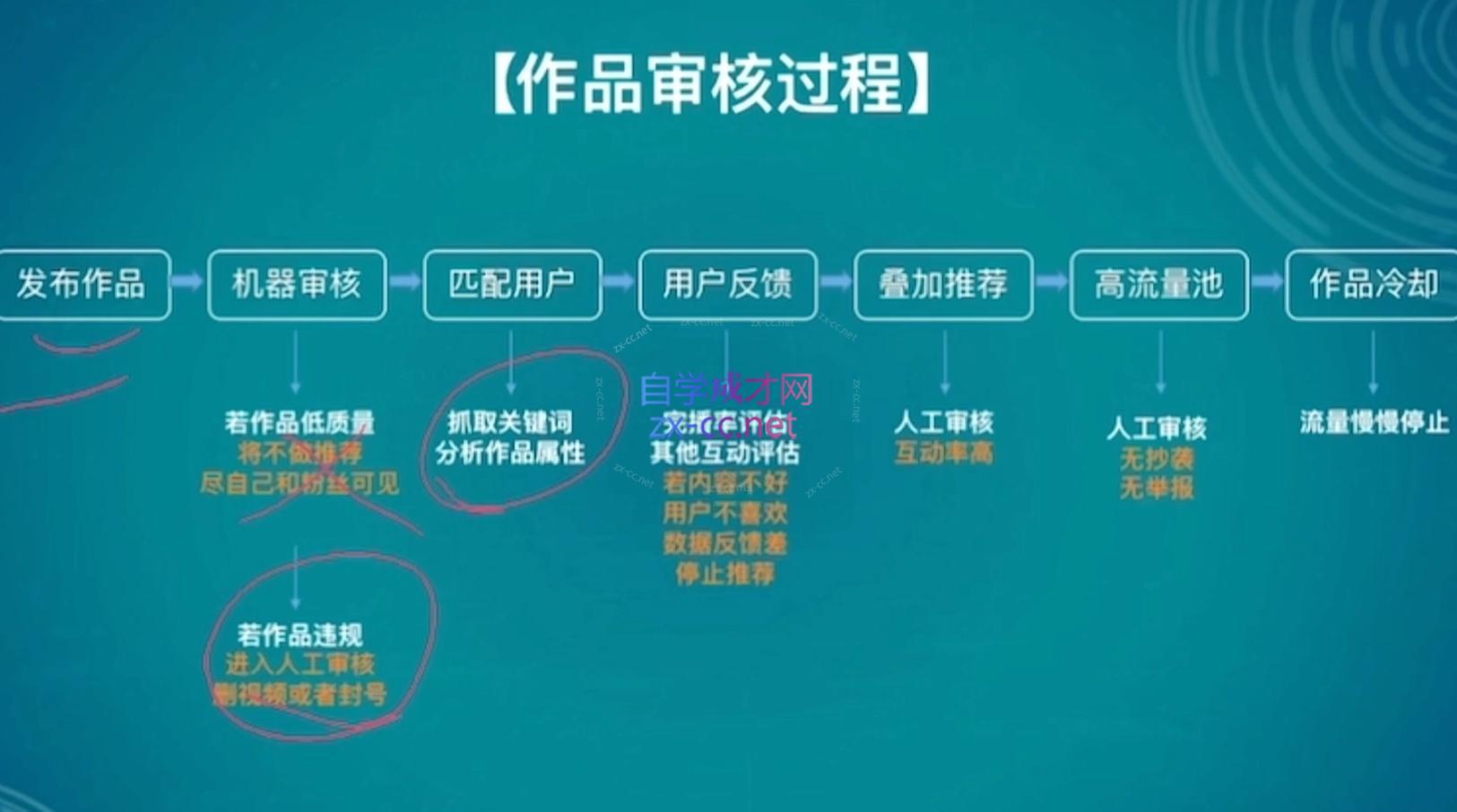 伊伊·红薯【高级班】运营课-千优网创