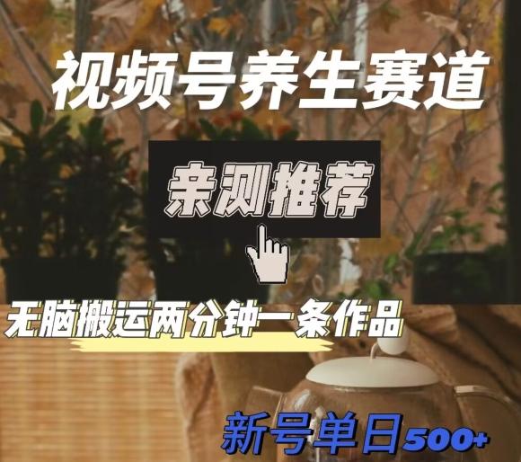 视频号养生赛道暴力掘金，无脑搬运，两分钟一条作品-新日单入500+-千优网创