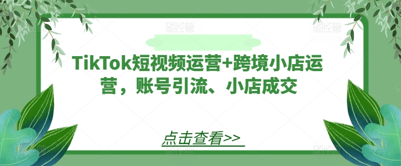 TikTok短视频运营+跨境小店运营，账号引流、小店成交-千优网创